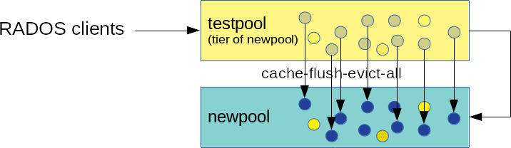 Data Flushing