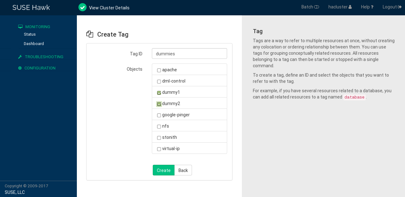 The Create Tag screen includes a field to add a Tag ID and a list of Objects (resources). Activate the check boxes to add the tag to the selected resources. The Create Tag screen includes a field to add a Tag ID and a list of Objects (resources). Activate the check boxes to add the tag to the selected resources.